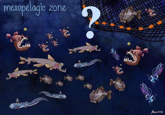Fishing the Mesopelagic Zone